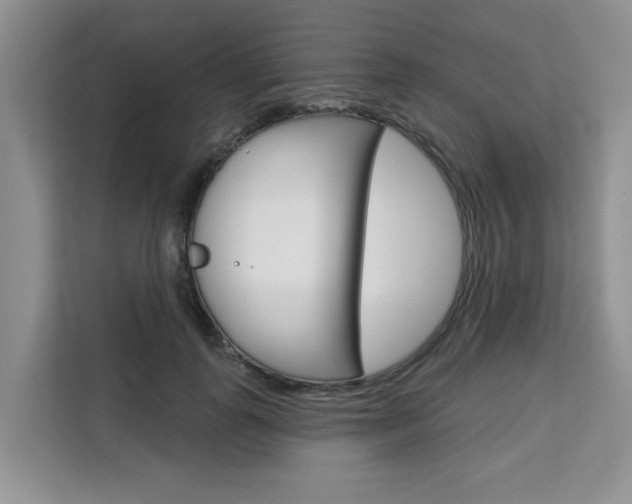 X0000111520747200907141236