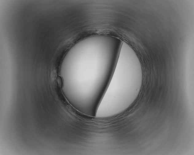 X0000111520748200907141236