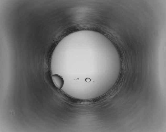 X0000111520751200907141236