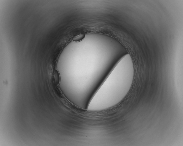 X0000111520752200907141236