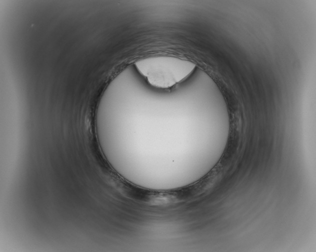 X0000111520754200907141236