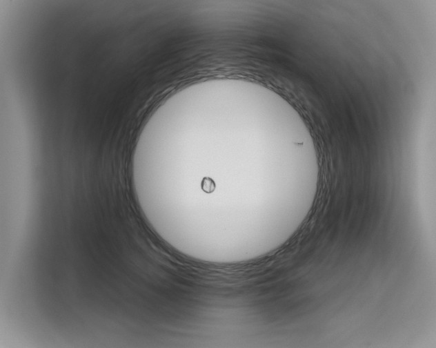 X0000111520756200907141236
