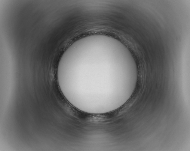 X0000111520758200907141236