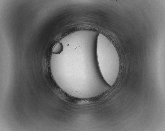 X0000111520759200907141236