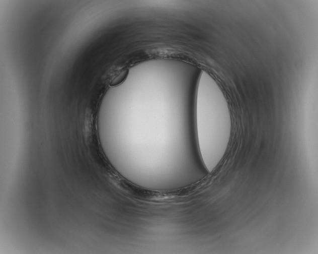 X0000111520760200907141236