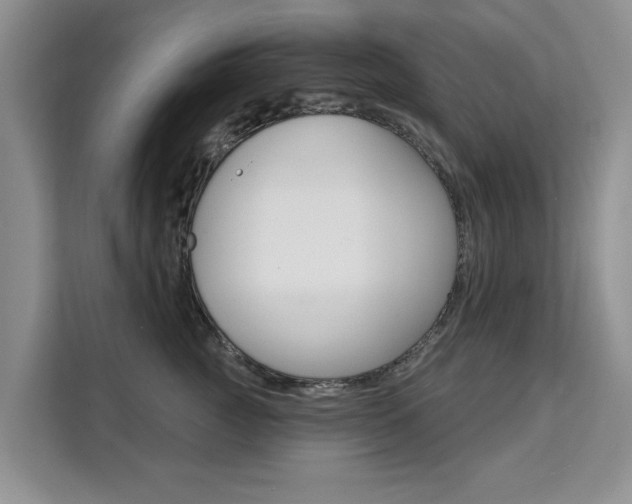 X0000111520761200907141236