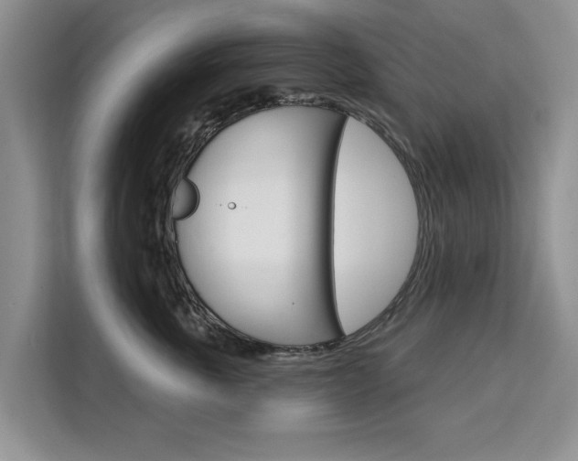 X0000111520763200907141236
