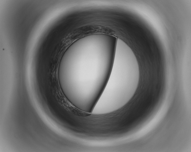 X0000111520766200907141236