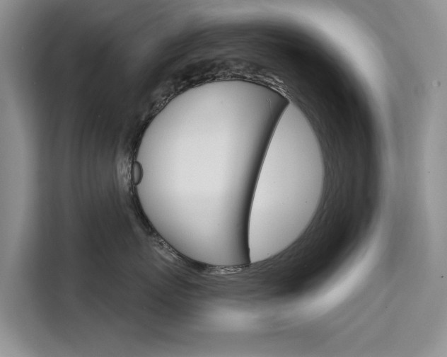 X0000111520767200907141236