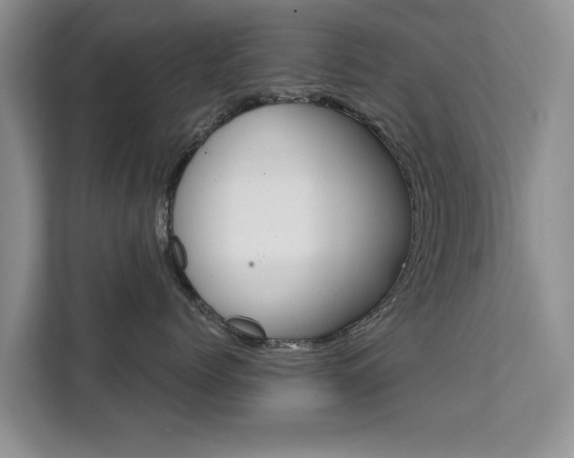 X0000111520768200907141236