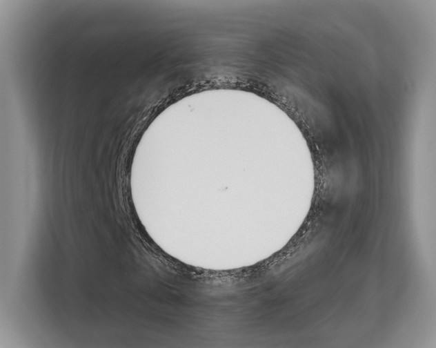 X0000111520769200907141236