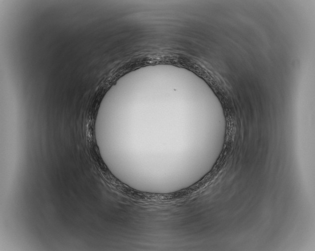 X0000111520770200907141236