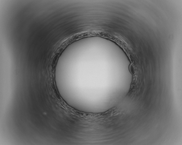 X0000111520773200907141236