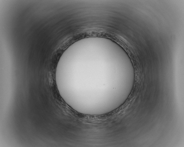 X0000111520774200907141235
