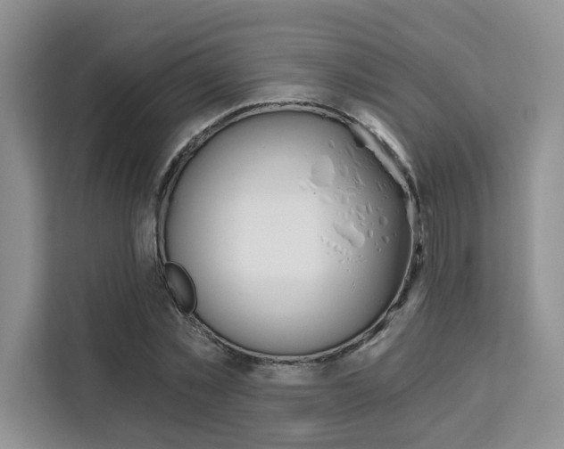 X0000111520781200907141235