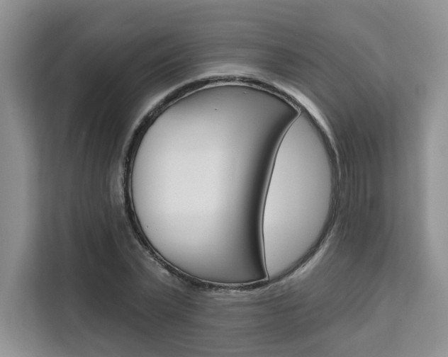 X0000111520783200907141235