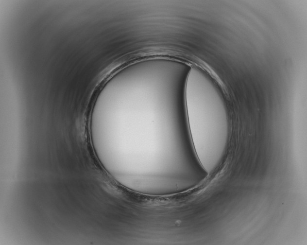 X0000111520786200907141235