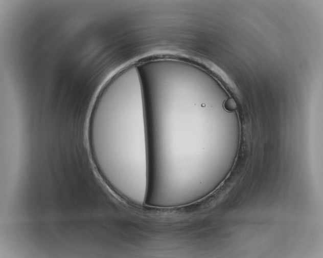 X0000111520791200907141235