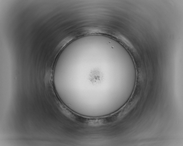 X0000111520793200907141235