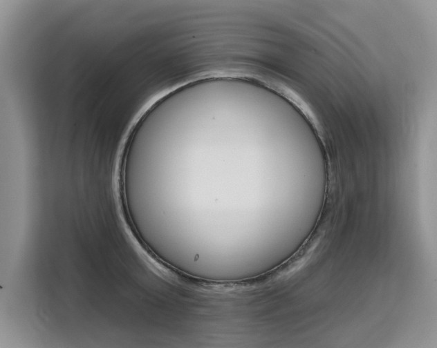 X0000111520803200907141235