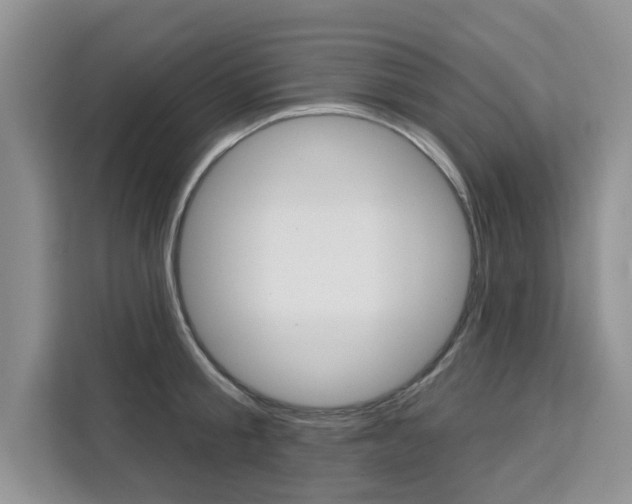 X0000111520805200907141235