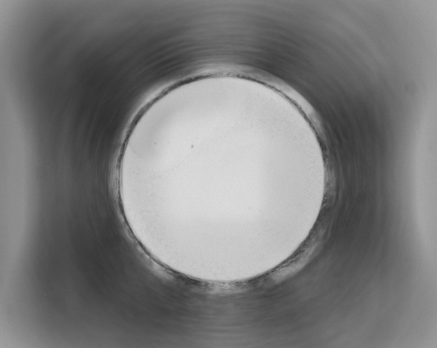 X0000111520807200907141235