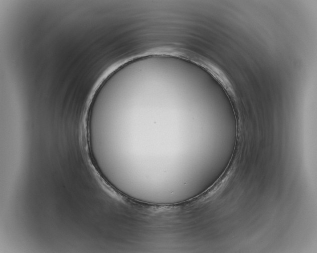 X0000111520808200907141235