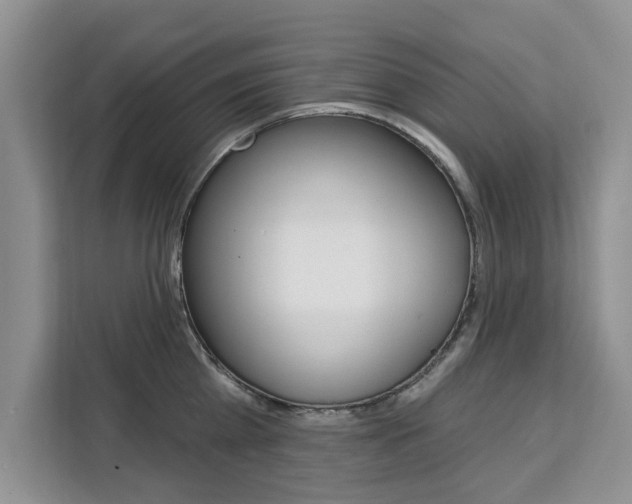 X0000111520809200907141235