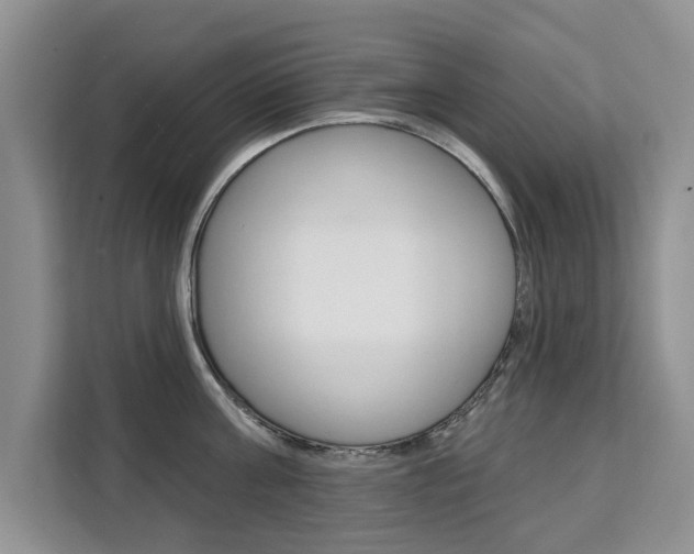 X0000111520811200907141235