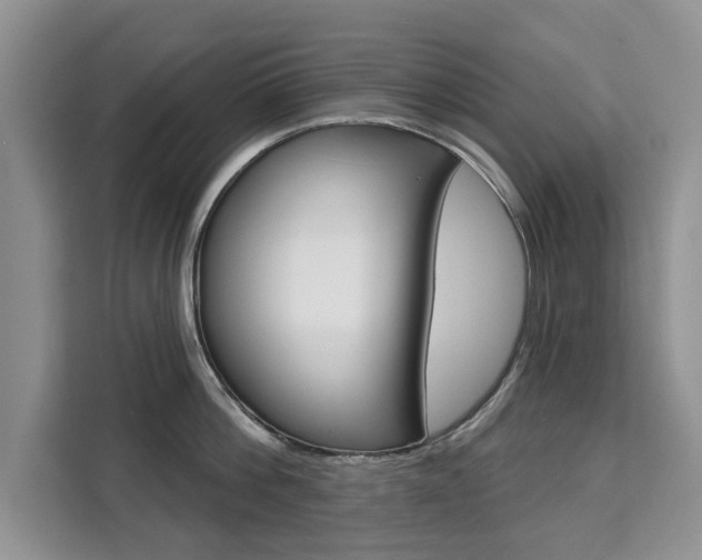 X0000111520812200907141235