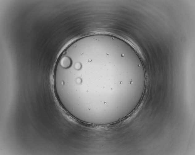 X0000111520814200907141235