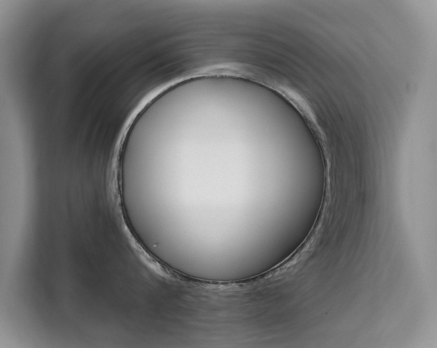X0000111520816200907141235