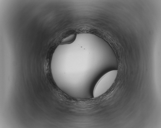 X0000111520818200907141234