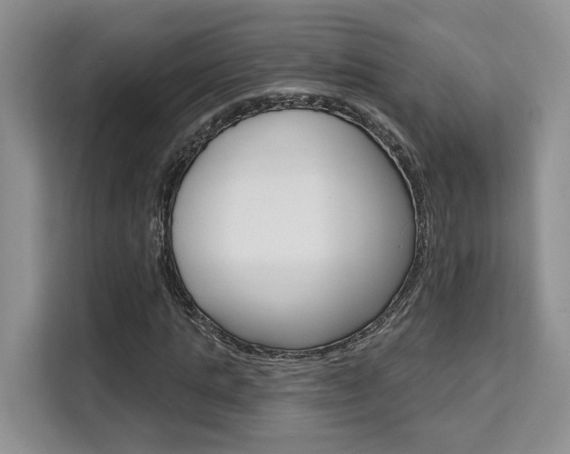 X0000111520821200907141234