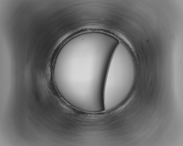 X0000111520829200907141234