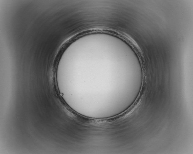 X0000111520831200907141235