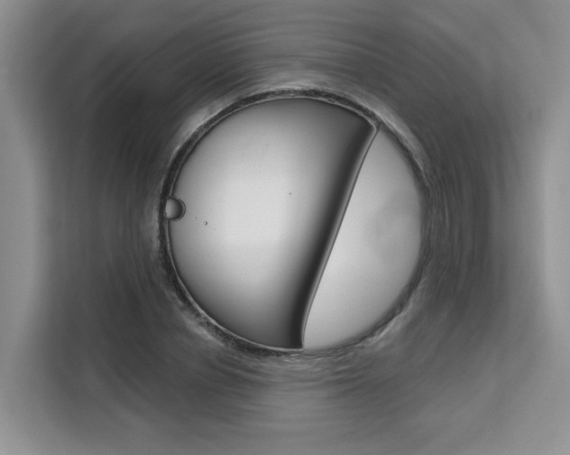 X0000111520834200907141235