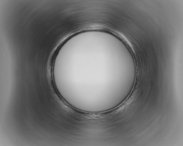 X0000111520835200907141235