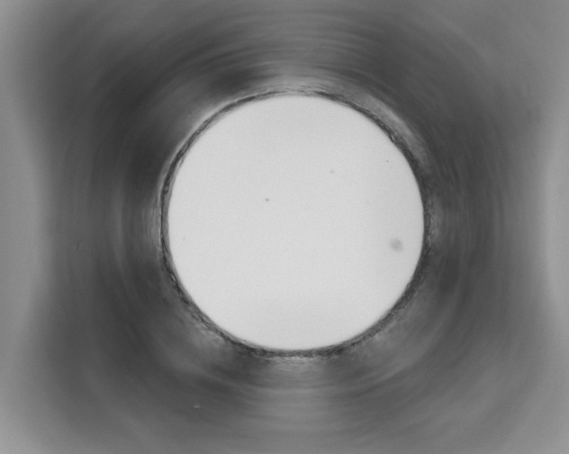 X0000111520836200907141235