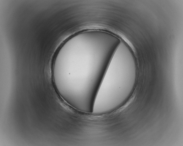 X0000111520837200907141235