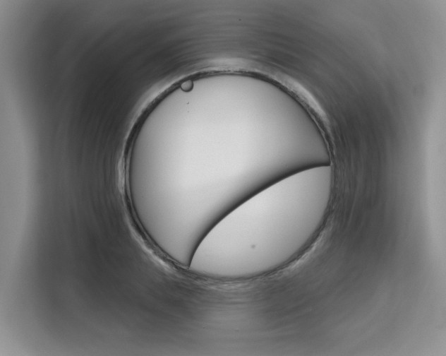 X0000111520839200907141235