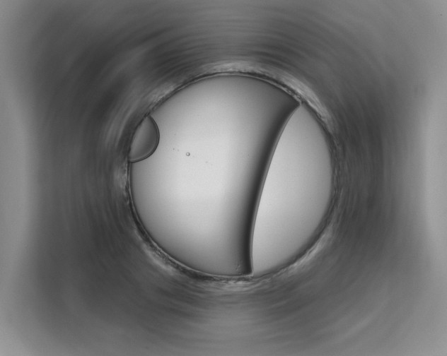 X0000111520841200907141235