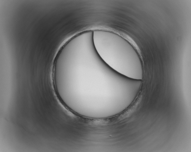 X0000111520847200907141235
