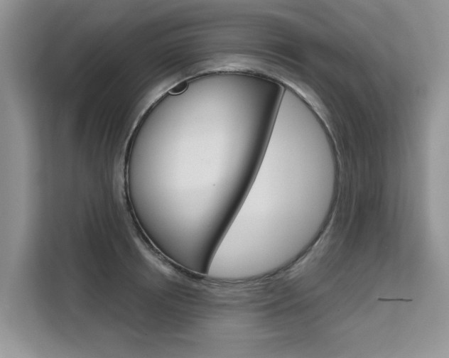 X0000111520850200907141235