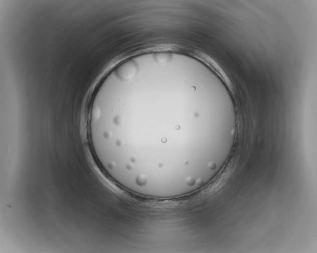 X0000111520851200907141235