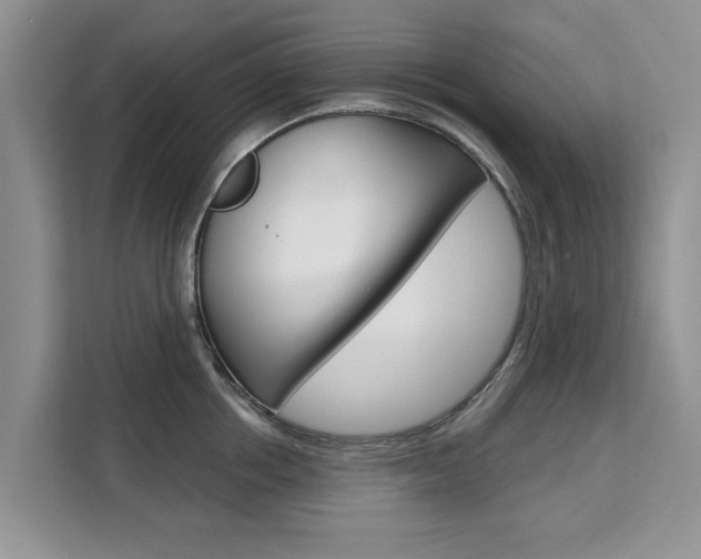 X0000111520858200907141235