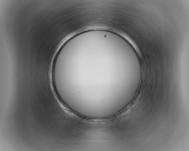 X0000111520861200907141235