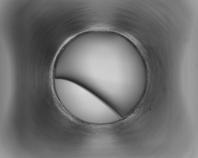 X0000111520864200907141235