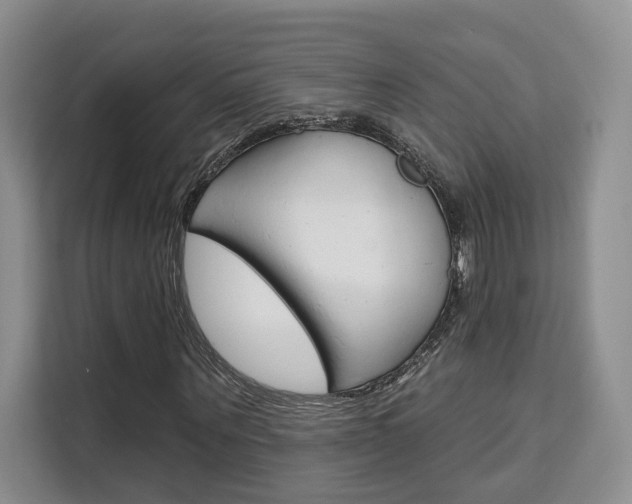 X0000111520867200907141234