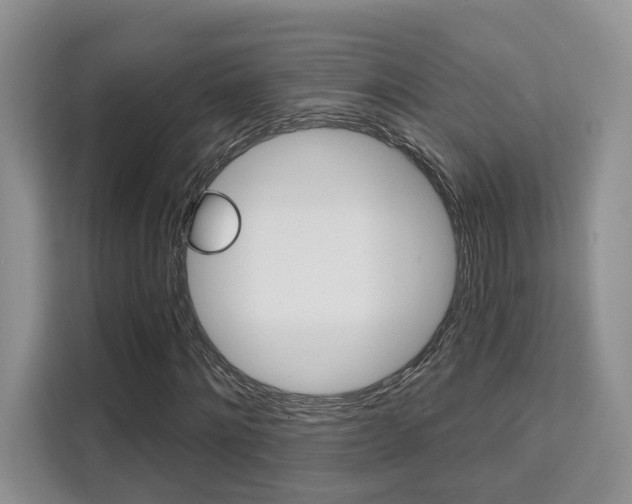 X0000111520868200907141234